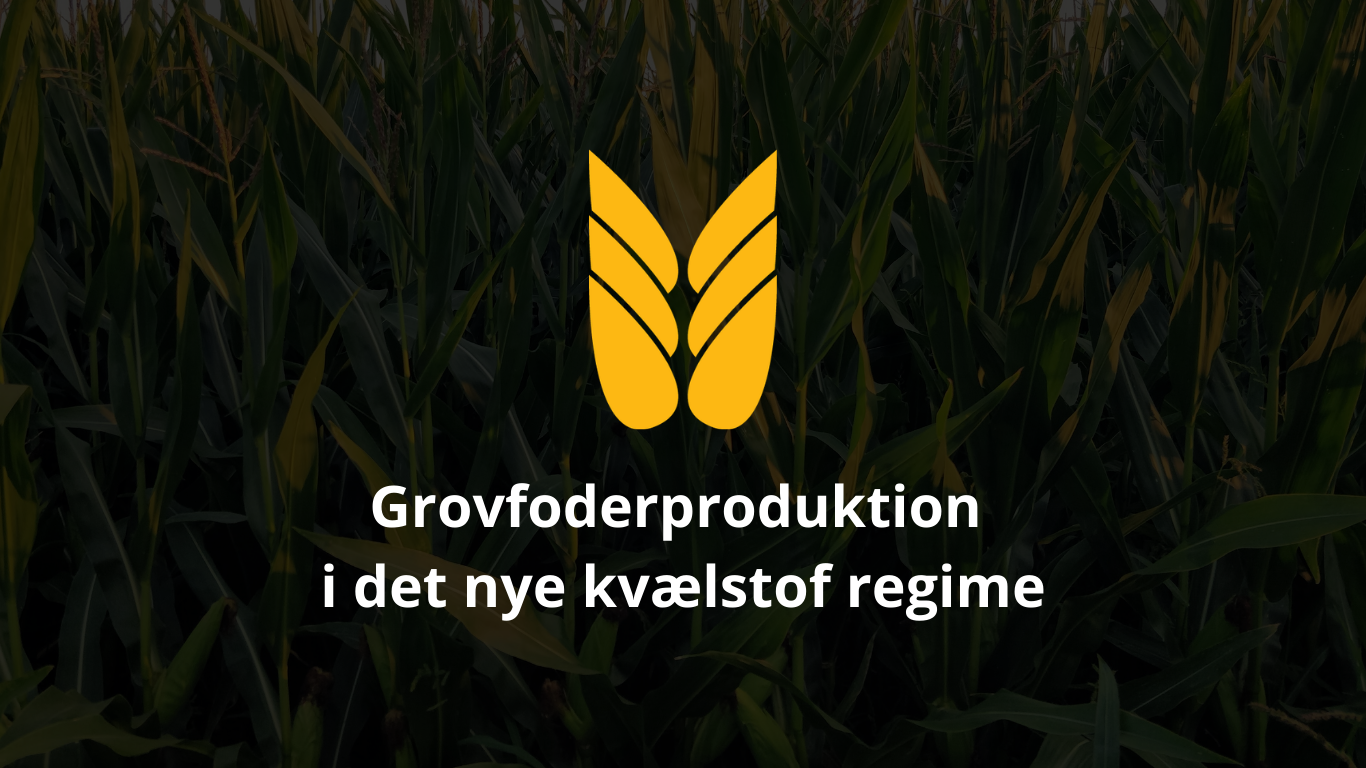 Grovfoderproduktion i det nye kvælstof regime…!