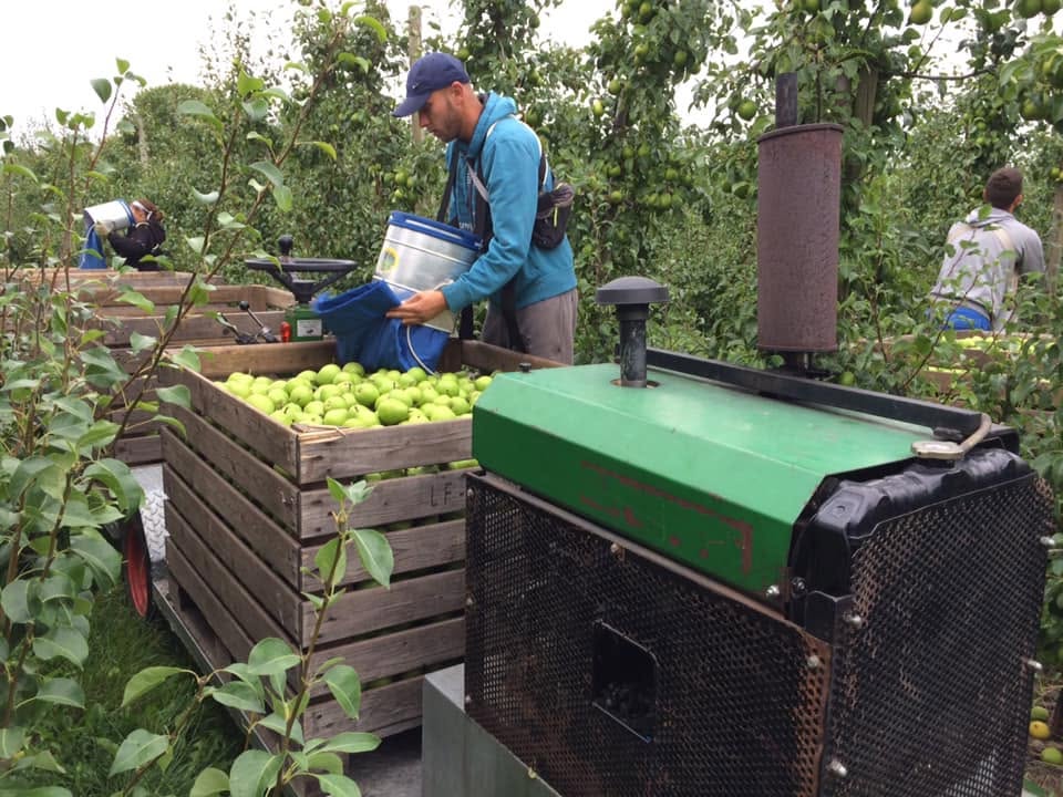 Bedriftsbesøg hos Frugtplantagen Strandlyst