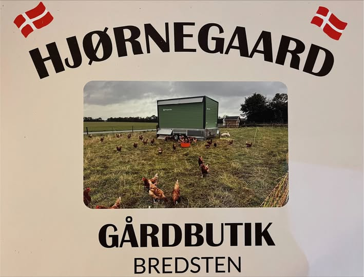 Kom med til kaffebordsmøde om økologiske græsæg og gårdbutik