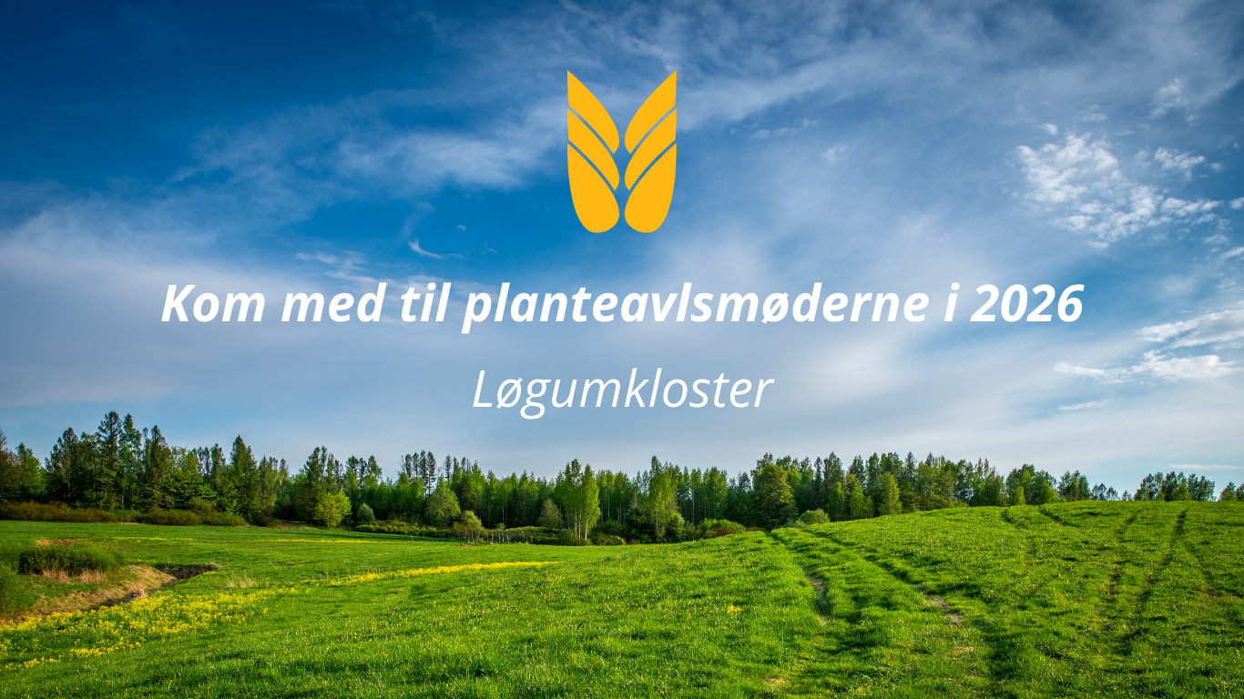 Plante- og grovfodermøde i Løgumkloster